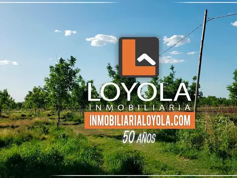 Campo en Venta en La Paz, San Javier