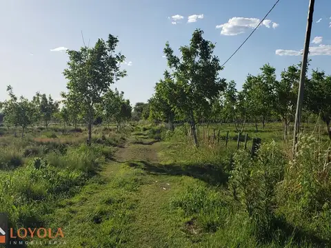 Nogales Del Valle