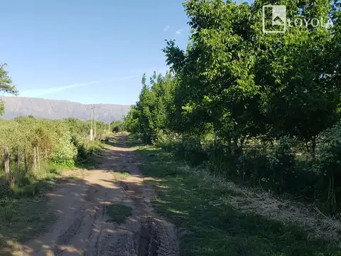 Nogales Del Valle