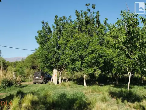 Nogales Del Valle