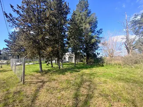 Excelente Terreno arbolado de 300 m2.