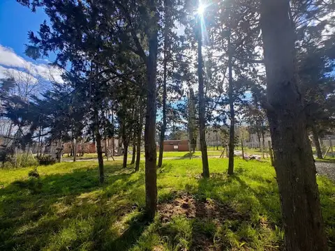 Excelente Terreno arbolado de 300 m2.