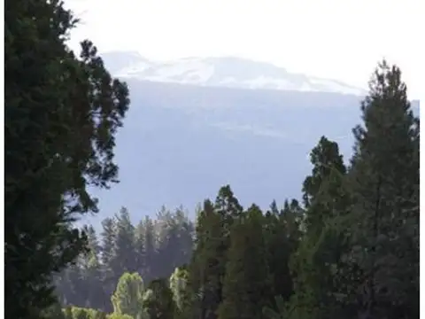 Terreno en Venta de 2500,0 m2