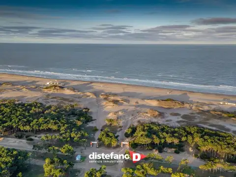 AMEGHINO, FLORENTINO DR.