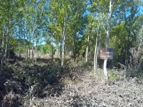 Terreno en Venta - 500mts2 - Nueva Atlantis