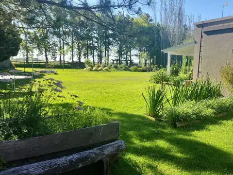 Casa en Alquiler en Roldan, San Lorenzo