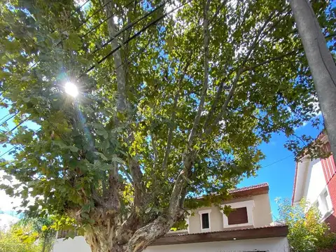 Casa en alquiler Ituzaingo sur