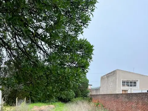 Terreno en Venta de 333,0 m2