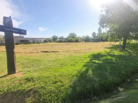 Terreno en Venta 45  mts Fondo