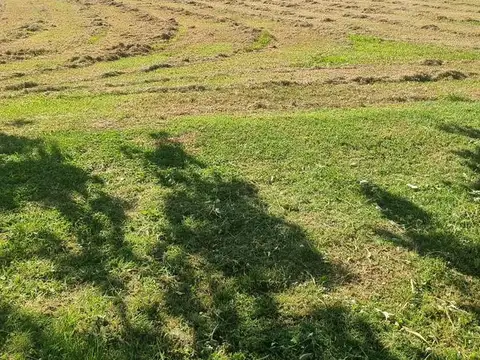 Terreno en Venta de 1034,0 m2