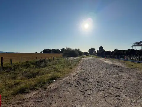 12 hectareas en la entrada de Cabildo