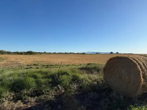 12 hectareas en la entrada de Cabildo