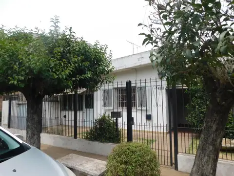 Larrea al 2000