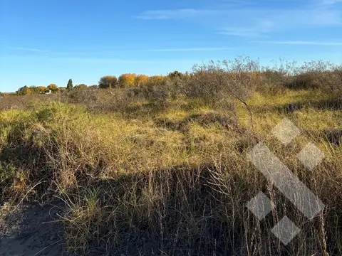 VENTA LOTE 300m2 - ARROYITO, CHINA MUERTA