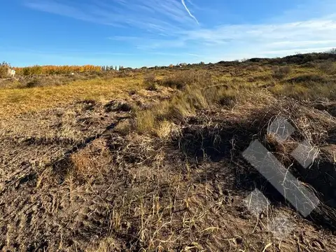 VENTA LOTE 300m2 - ARROYITO, CHINA MUERTA