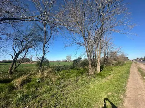 RUTA 25