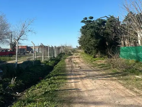 RUTA 25
