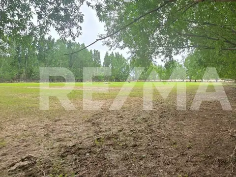 LOTE DE 2.500 M2 - LEJOS DE BS AS  II - SENILLOSA