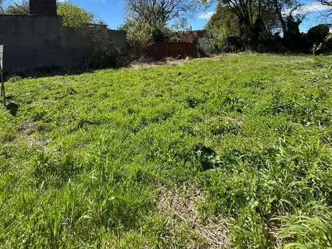 TERRENO EN SANTO TOME- OPORTUNIDAD PARA PROYECTAR TU FUTURO.
