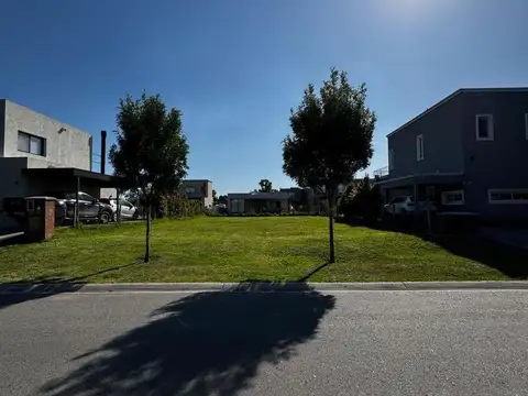 Terreno en Santo Tomás