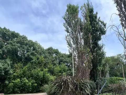 Terreno en Venta 20  mts Fondo