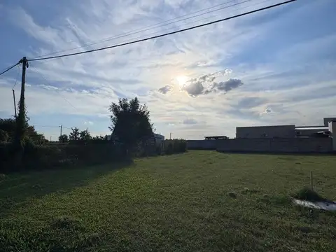 Peter Bartning 1600