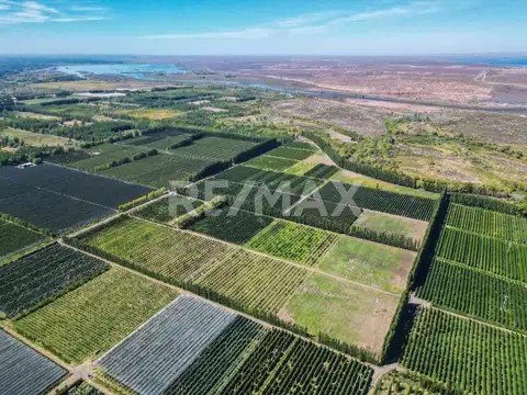 Ruta Provincial 7 100