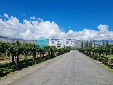 Terreno en Venta 68  mts Fondo