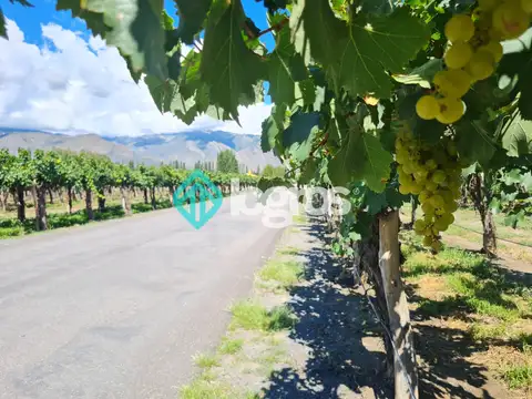 Terreno en Venta de 2556,0 m2