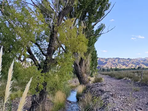 Ruta 149  - a 1km de Las Bovedas