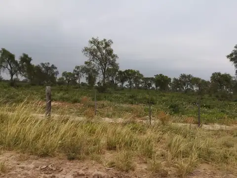 Vendo o alquilo establecimiento ganadero funcionando 2600 hectáreas. 4815308