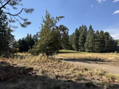 VENTA TERRENO SAN MARTIN DE LOS ANDES. CHAPELCO GOLF