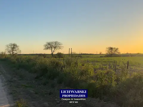 VENTA TERRENOS INDUSTRIALES | US$ 80.000 c/u | Charata, Chaco.