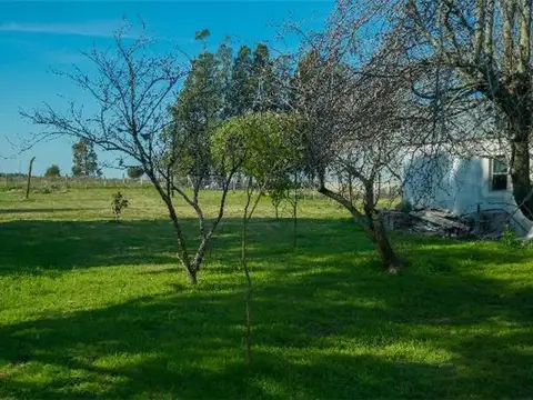 Sup. Total 2.000 M² - Solida Vivienda 3 Dormitorios...