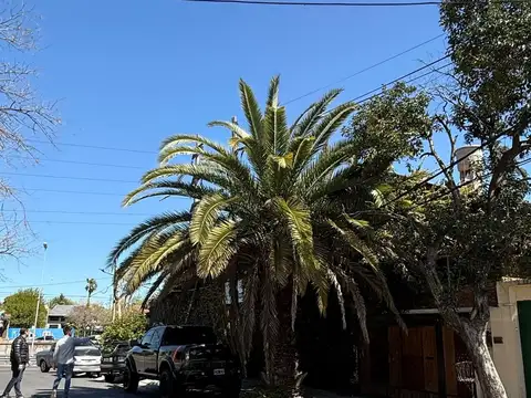 Colectora Este Panamericana al 4000