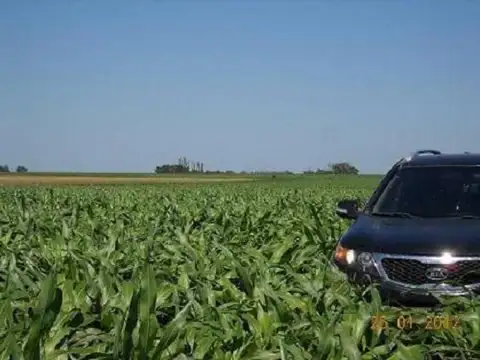 Campo  en Venta en Darragueira, Puán, Resto de la Provincia