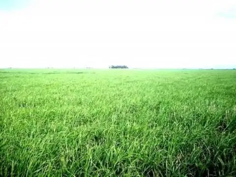 Puan, Buenos Aires Interior 100