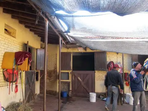 Stud/ Caballeriza en Alquiler