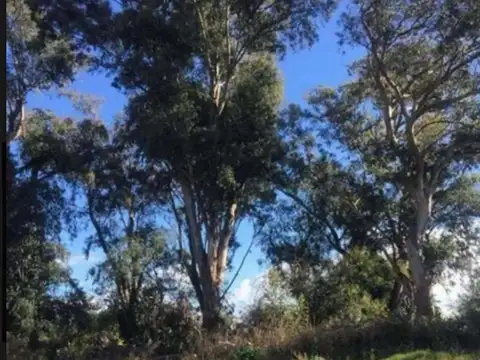 Terreno en Venta en Countries y Barrios Cerrados en Guillermo Hudson, USD 70.000