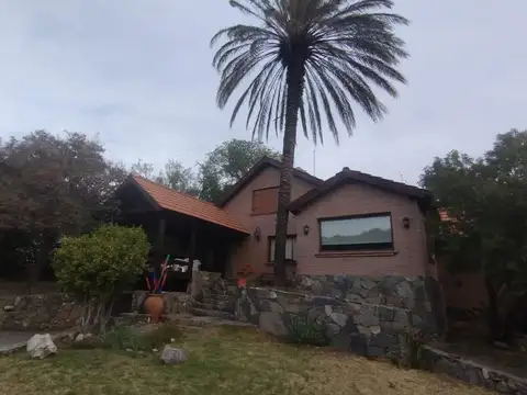 Palmeras Sn