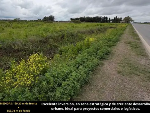 Campo de 6,7 Has en Venta sobre Ruta 21
