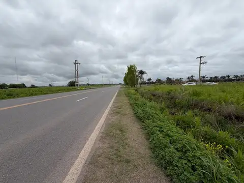 Campo de 6,7 Has en Venta sobre Ruta 21
