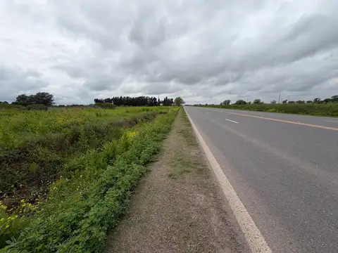 Zona Rural