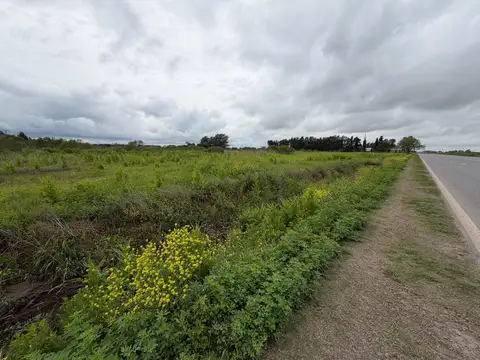 Campo de 6,7 Has en Venta sobre Ruta 21