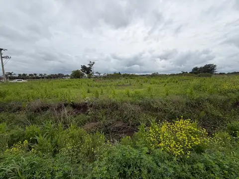 Zona Rural