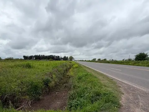 Campo de 6,7 Has en Venta sobre Ruta 21