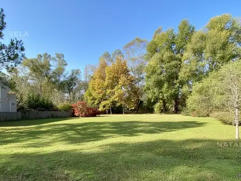 Terreno en Venta 40  mts Fondo