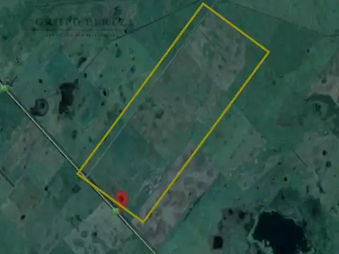 Oportunidad en Saladillo: 488 Has con Casa y Silos – Ruta 91 km 20