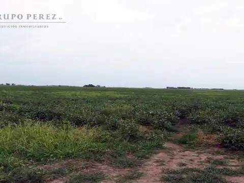 Terreno en Venta en Saladillo, USD 3.416.000