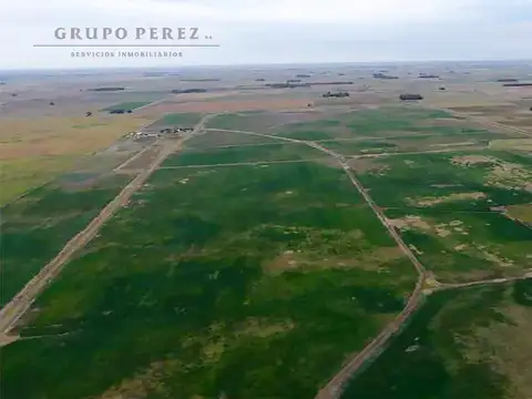 Oportunidad en Saladillo: 488 Has con Casa y Silos – Ruta 91 km 20